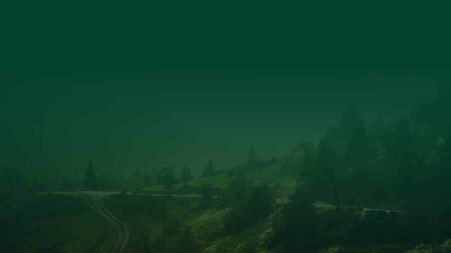 Поверителност